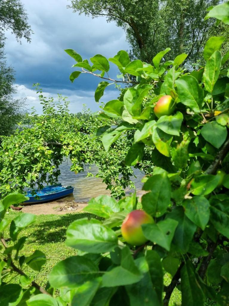 Вилла Gardenia Райгруд Экстерьер фото